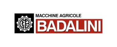 logo badalini