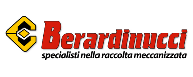 logo berardinucci