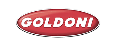 logo goldoni