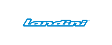 Landini