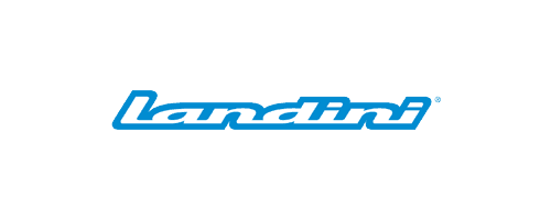 Landini