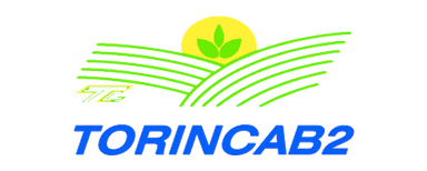 logo torincab 2