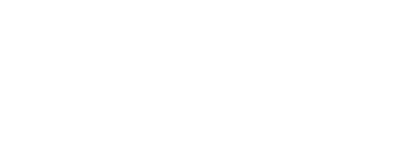 logo vigolo
